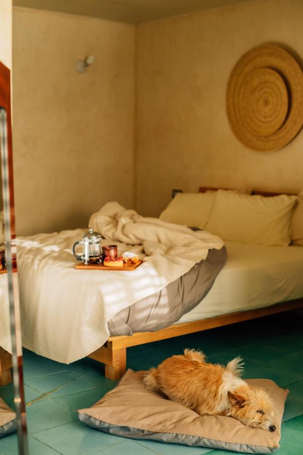 Boulenc Bed And Bread Otel Oaxaca Dış mekan fotoğraf